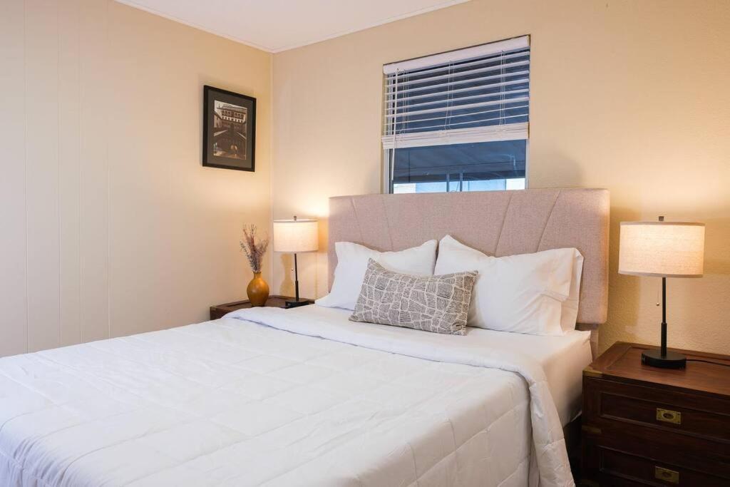 House Near Tampa Zoo And Busch Gardens, Free High Speed Wifi Villa Ngoại thất bức ảnh