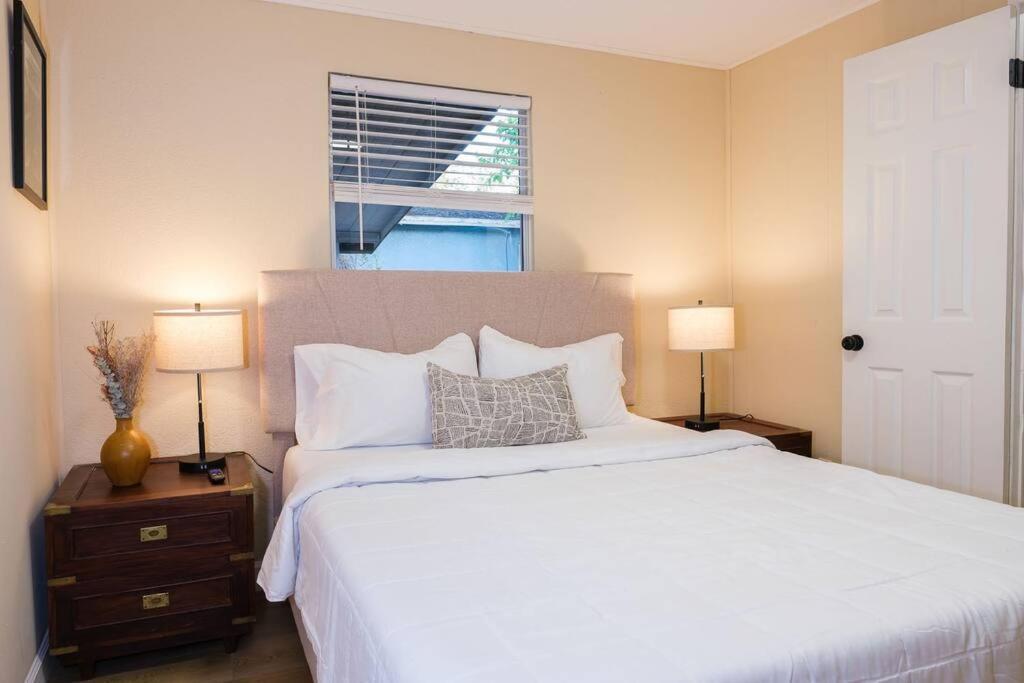 House Near Tampa Zoo And Busch Gardens, Free High Speed Wifi Villa Ngoại thất bức ảnh