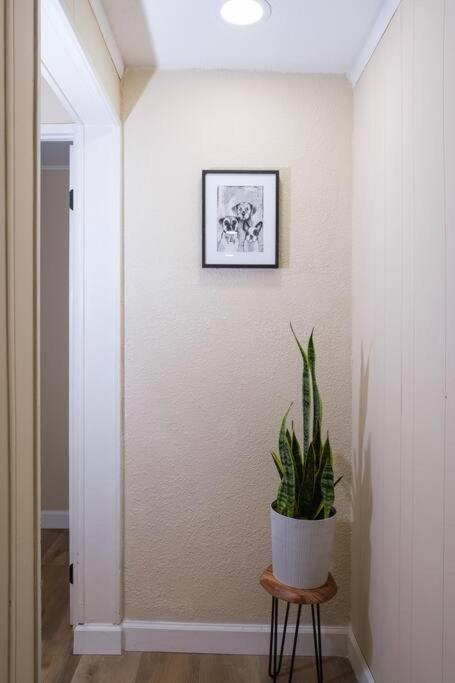 House Near Tampa Zoo And Busch Gardens, Free High Speed Wifi Villa Ngoại thất bức ảnh